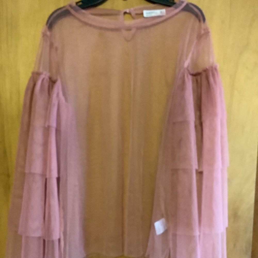 Sheer Bell Sleeve Top